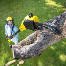 Best Lawn Grading and Leveling  in Bushland, TX